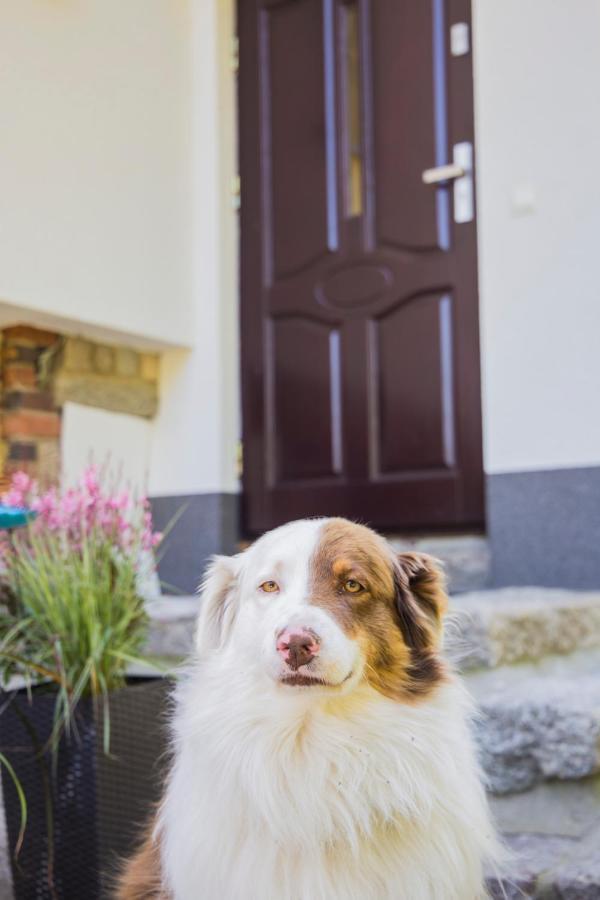 Willa Apart 19A Karpacz Dış mekan fotoğraf