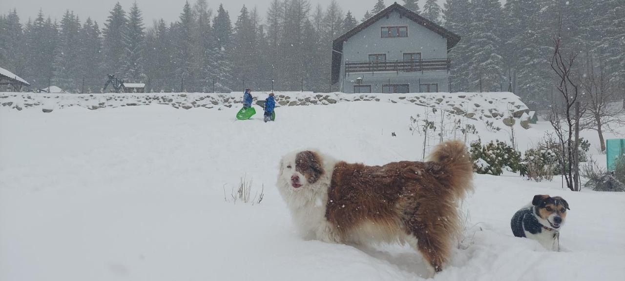 Willa Apart 19A Karpacz Dış mekan fotoğraf